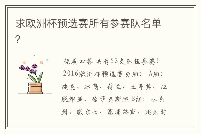 求欧洲杯预选赛所有参赛队名单?