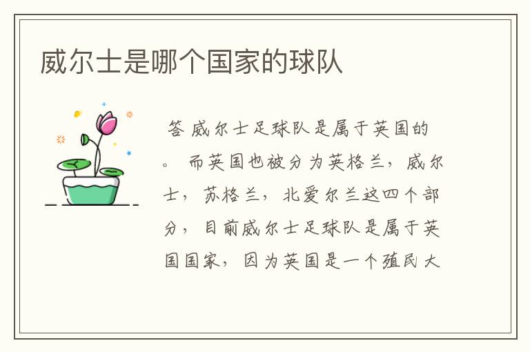 威尔士是哪个国家的球队