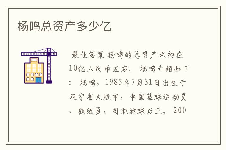 杨鸣总资产多少亿