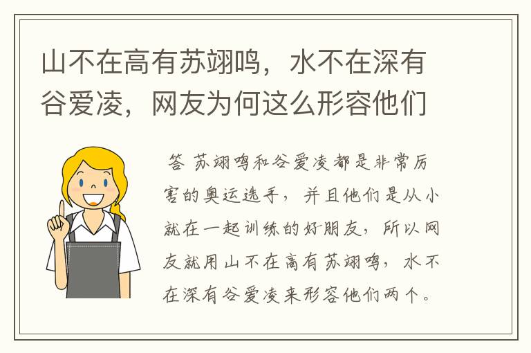山不在高有苏翊鸣,水不在深有谷爱凌,网友为何这么形容他们俩?