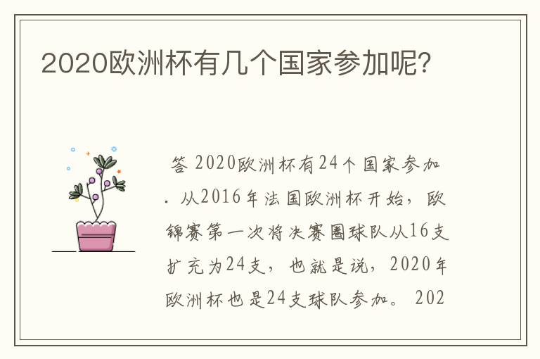 2020欧洲杯有几个国家参加呢?