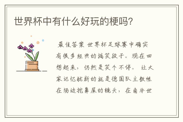 世界杯中有什么好玩的梗吗?