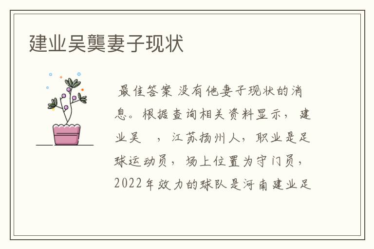建业吴龑妻子现状