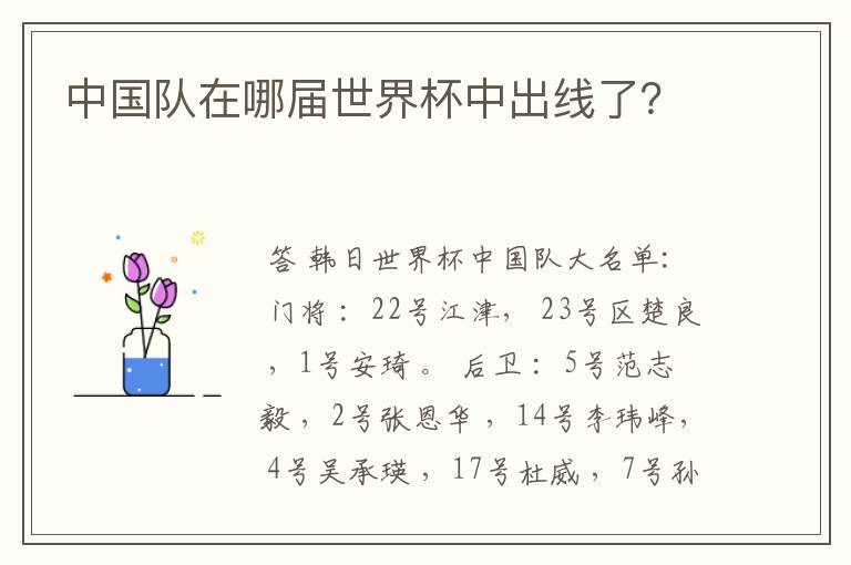 中国队在哪届世界杯中出线了?