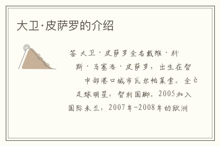 大卫·皮萨罗的介绍