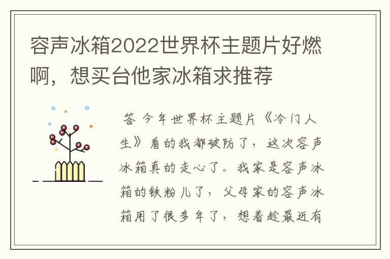 容声冰箱2022世界杯主题片好燃啊,想买台他家冰箱求推荐
