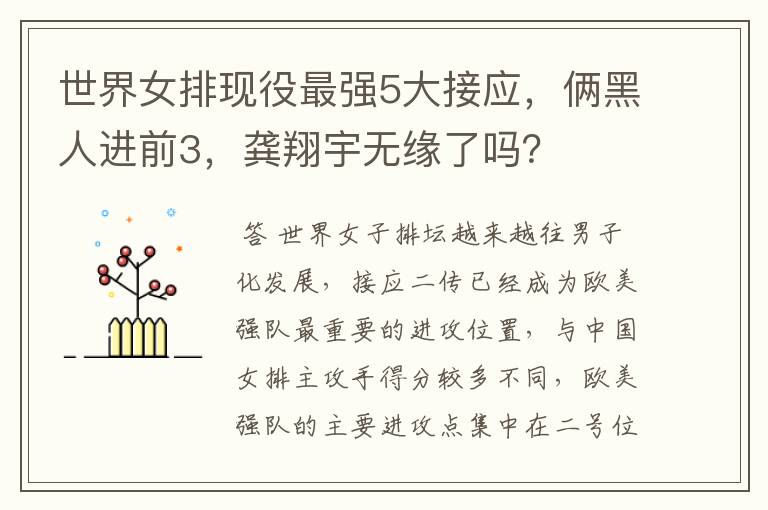世界女排现役最强5大接应，俩黑人进前3，龚翔宇无缘了吗？