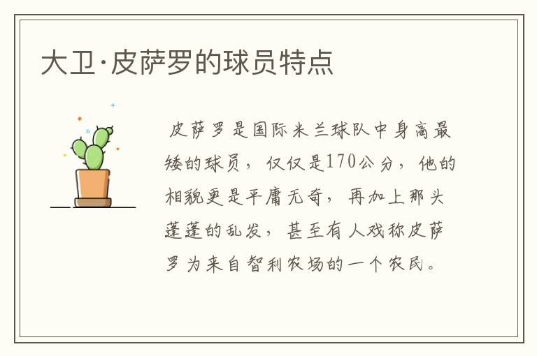 大卫·皮萨罗的球员特点