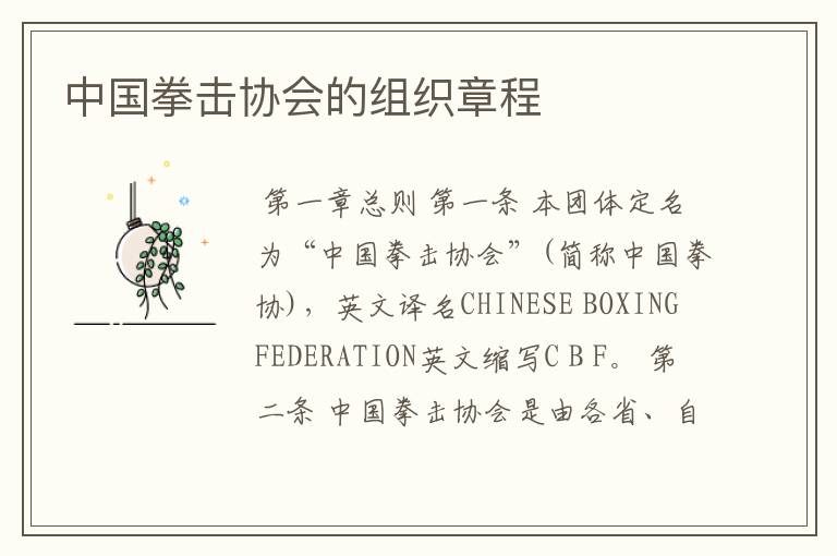 中国拳击协会的组织章程