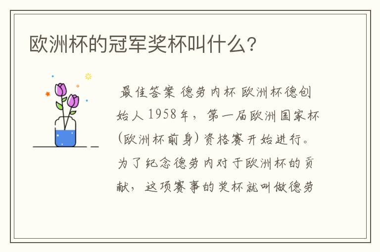 欧洲杯的冠军奖杯叫什么?