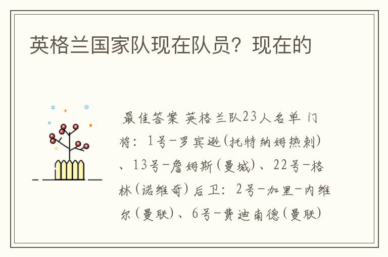 英格兰国家队现在队员？现在的