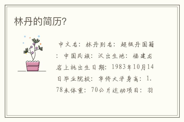 林丹的简历?