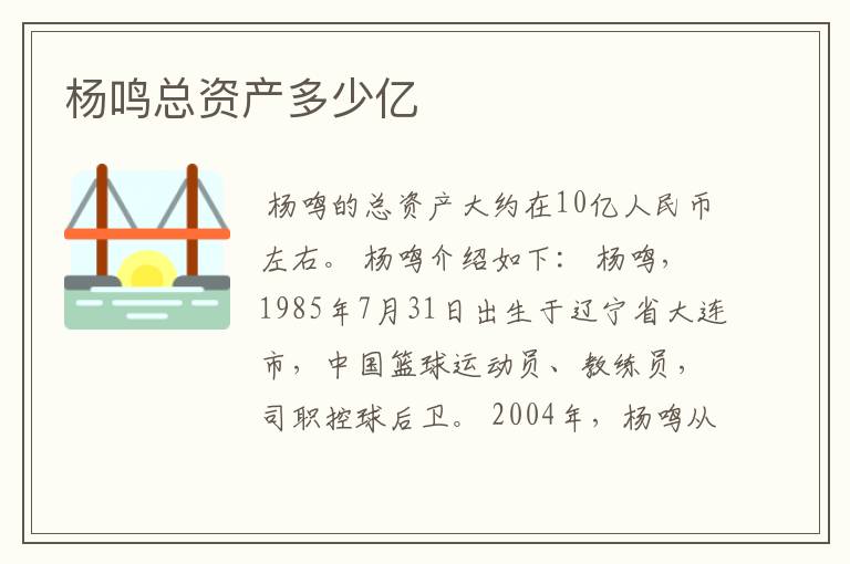 杨鸣总资产多少亿