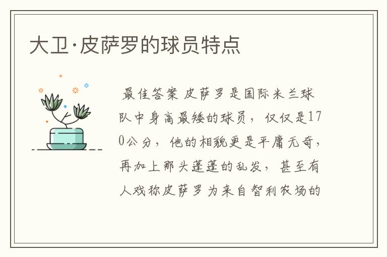 大卫·皮萨罗的球员特点