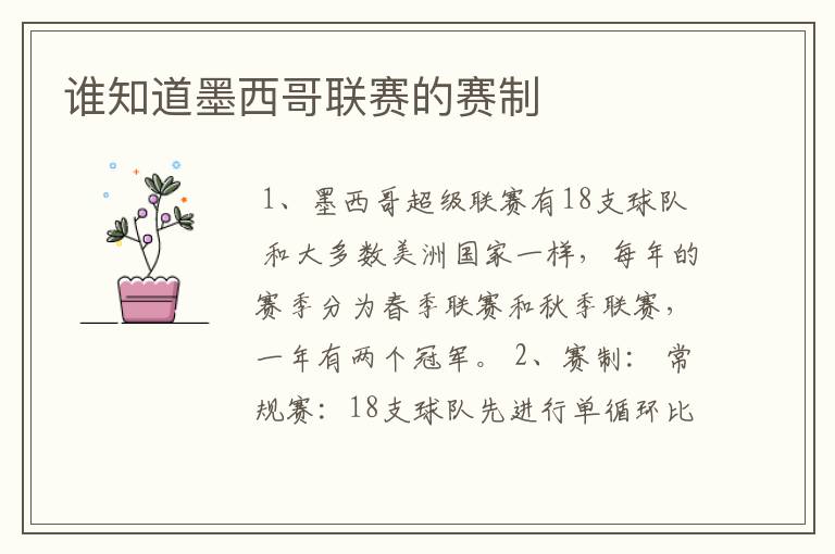 谁知道墨西哥联赛的赛制