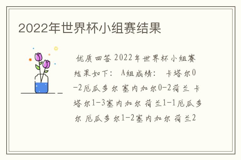 2022年世界杯小组赛结果