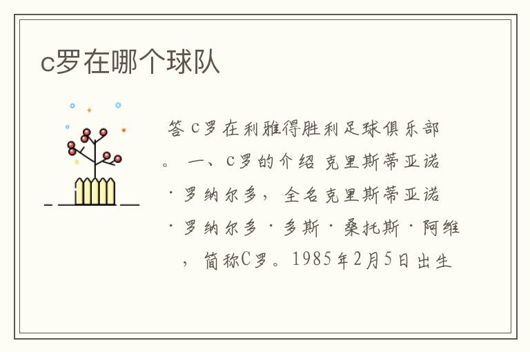 c罗在哪个球队