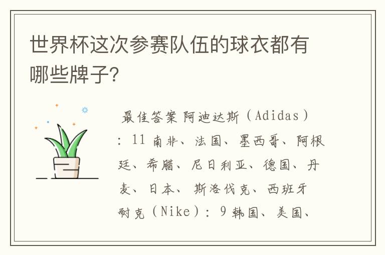 世界杯这次参赛队伍的球衣都有哪些牌子?