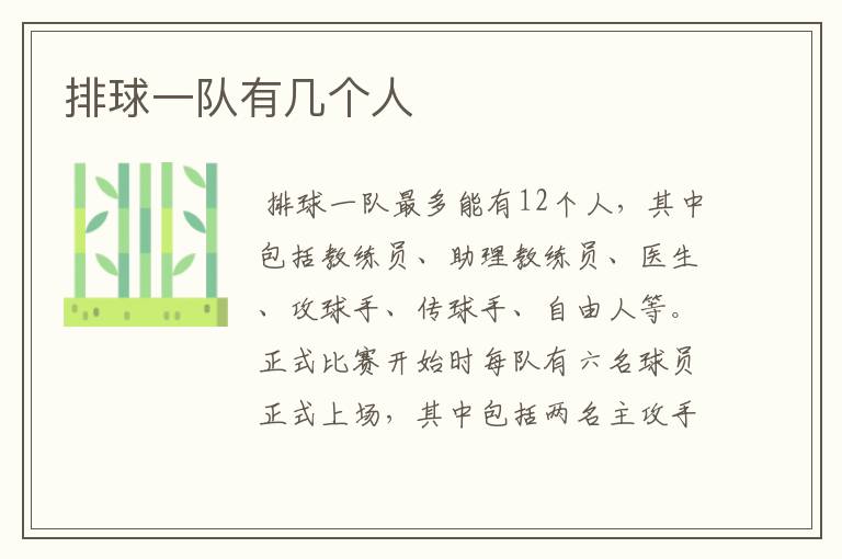 排球一队有几个人