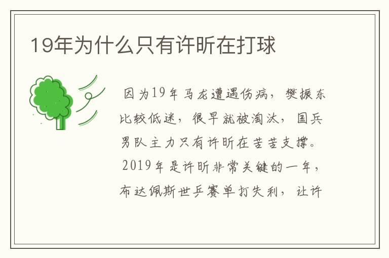 19年为什么只有许昕在打球