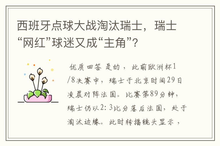 西班牙点球大战淘汰瑞士,瑞士“网红”球迷又成“主角”?
