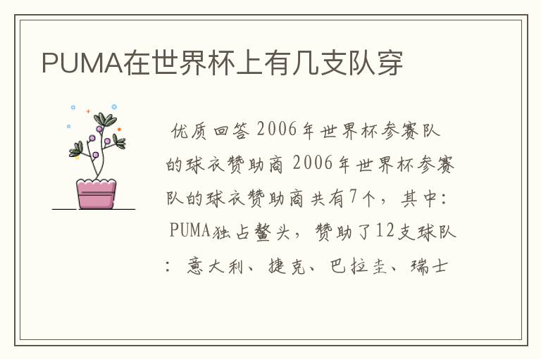 PUMA在世界杯上有几支队穿