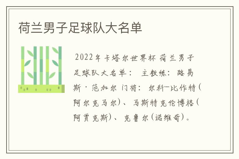 荷兰男子足球队大名单
