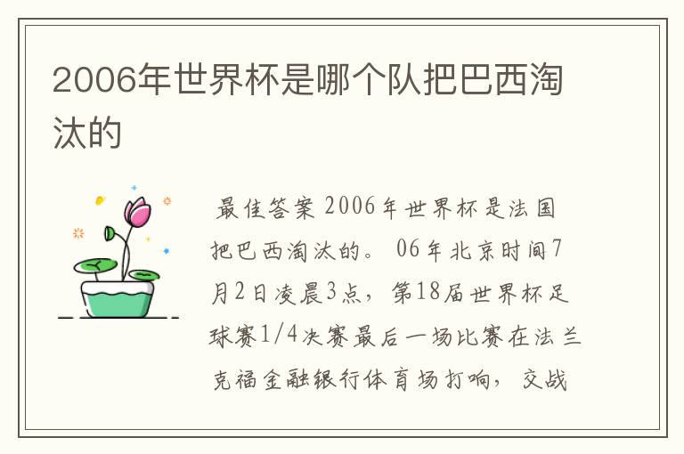 2006年世界杯是哪个队把巴西淘汰的