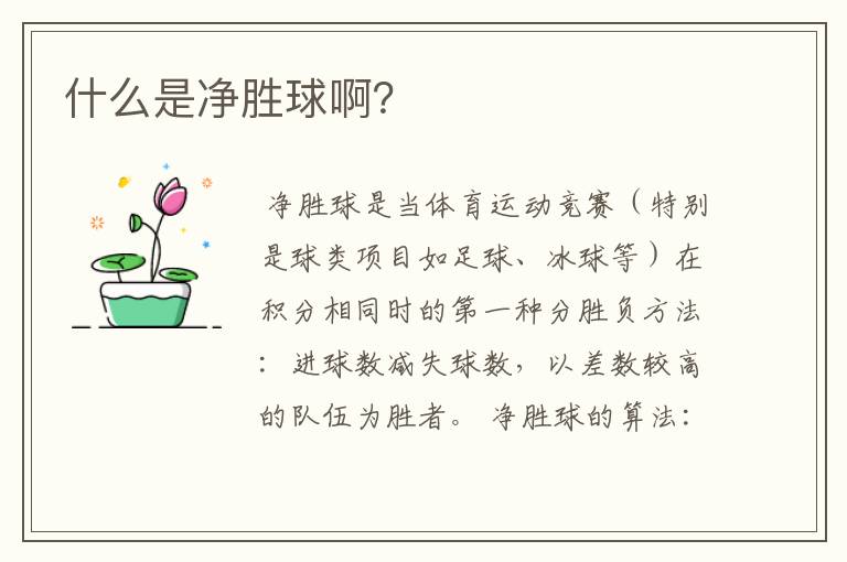 什么是净胜球啊?