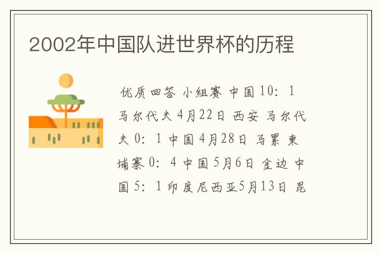 2002年中国队进世界杯的历程