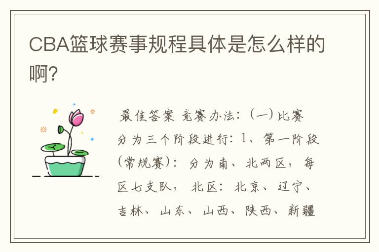 CBA篮球赛事规程具体是怎么样的啊?