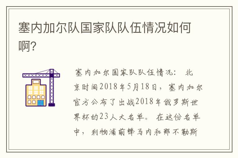 塞内加尔队国家队队伍情况如何啊?