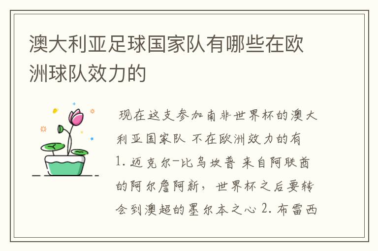 澳大利亚足球国家队有哪些在欧洲球队效力的