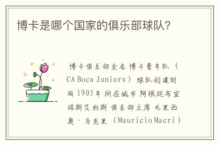 博卡是哪个国家的俱乐部球队?