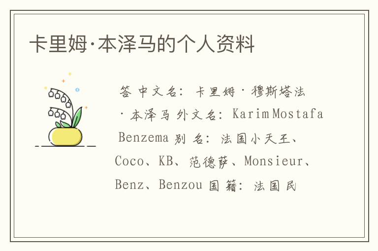 卡里姆·本泽马的个人资料