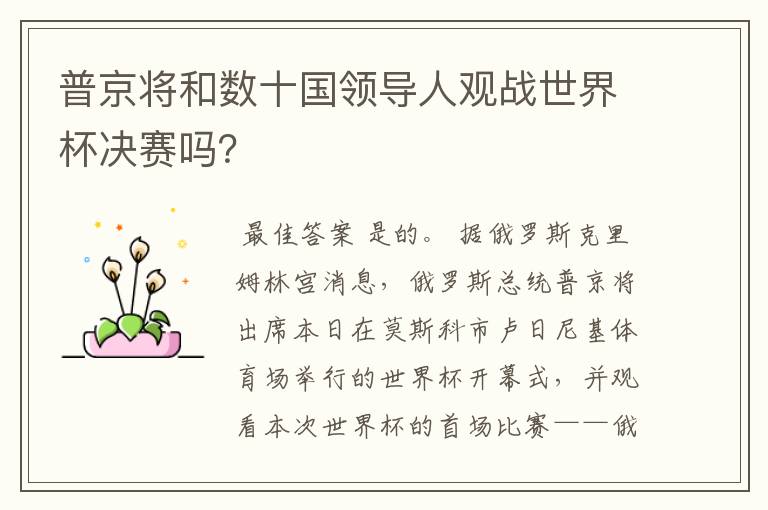 普京将和数十国领导人观战世界杯决赛吗?
