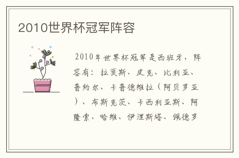 2010世界杯冠军阵容