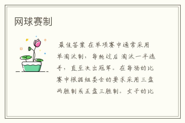 网球赛制