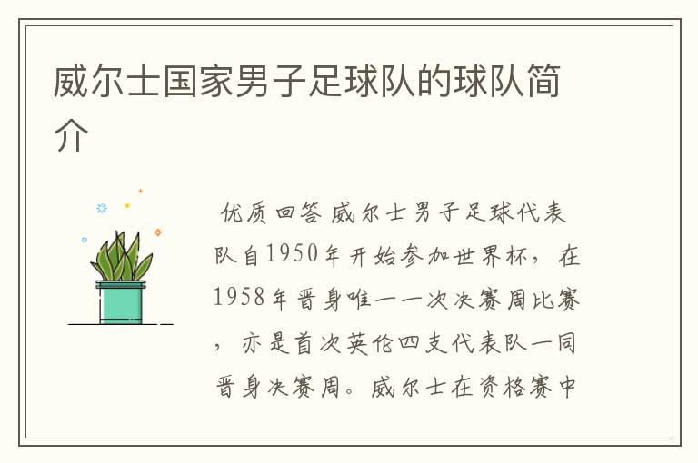 威尔士国家男子足球队的球队简介