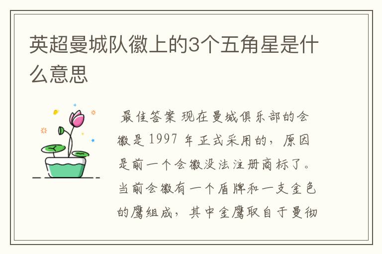英超曼城队徽上的3个五角星是什么意思