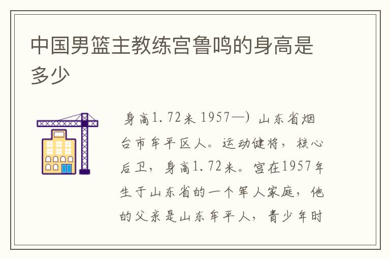 中国男篮主教练宫鲁鸣的身高是多少