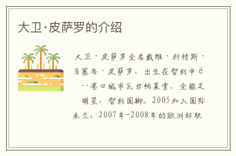 大卫·皮萨罗的介绍