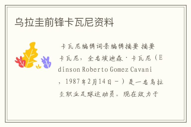 乌拉圭前锋卡瓦尼资料