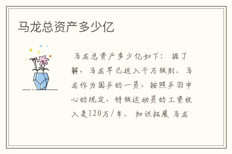 马龙总资产多少亿