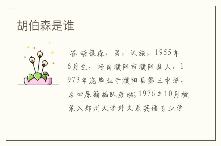 胡伯森是谁