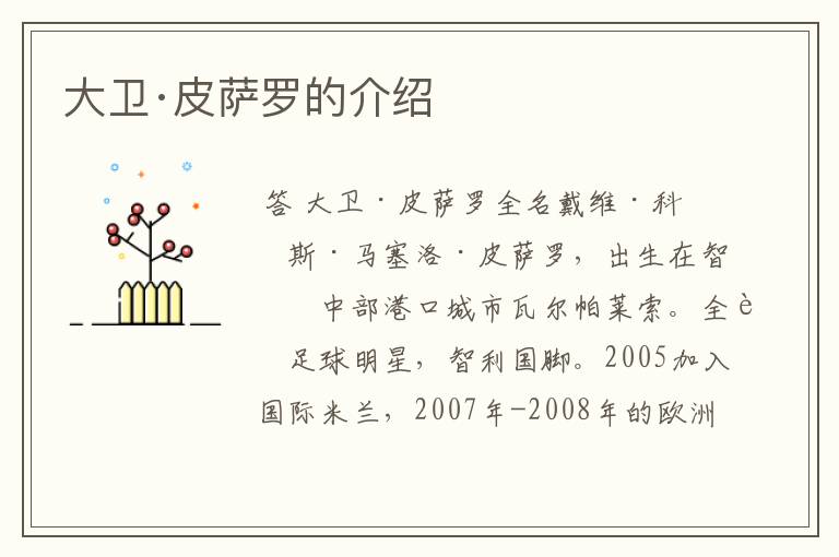 大卫·皮萨罗的介绍