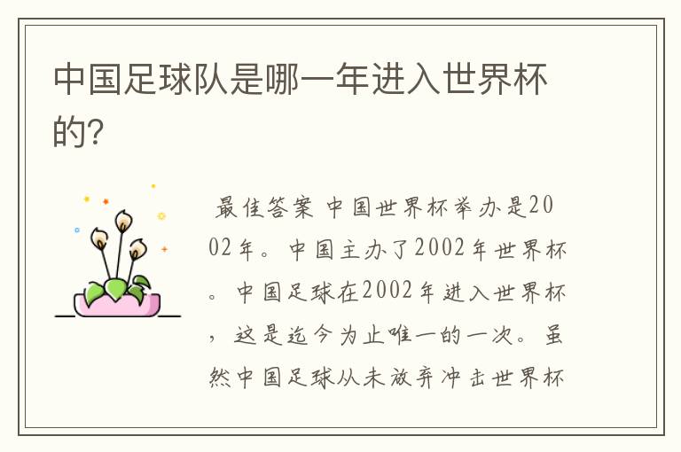 中国足球队是哪一年进入世界杯的？