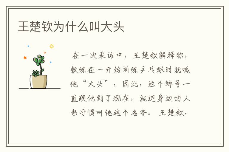 王楚钦为什么叫大头