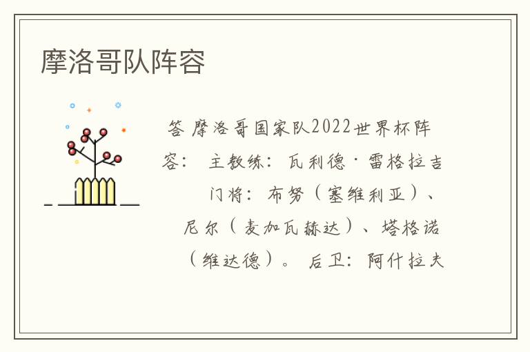 摩洛哥队阵容