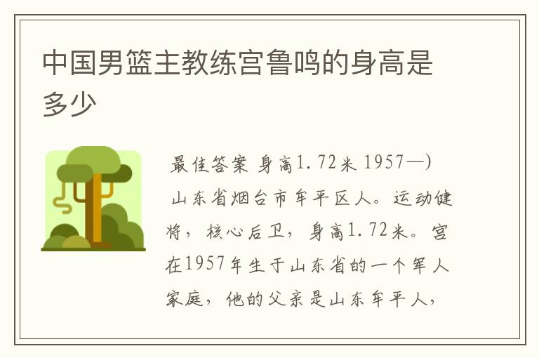 中国男篮主教练宫鲁鸣的身高是多少